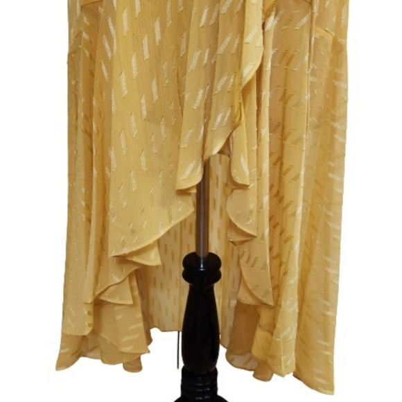 🆕️⬇️🎉HOST PICK🎉 Maison Tara Clip Dot Chiffon Maxi Dress - Picture 5 of 15